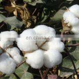 Disposable Flannel Baby Diaper in Bales Manufacturers in China Baby Diaper/nappies thumbnail-4