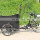 Family Used Pedelec Cargo Tricycle thumbnail-2