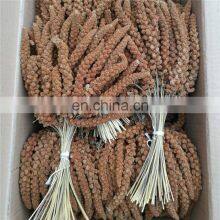 Gu sui Manufacturer Wholesale Chinese yellow/red millet sprays