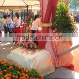 Party Tent Pavilion Outdoor Tent Marquee Event Tent Exhibition Tent Wedding Tent Big Tent Pagoda Gazebo Military Tent Warehouses