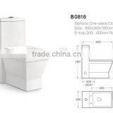 Economic Square Siphonic One Piece Wall Back wc Water Close B0816 thumbnail-2