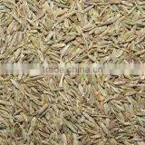 Cumin Seed, Mustard Seed Price thumbnail-1