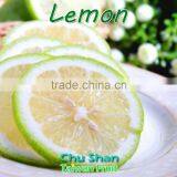 Best Quality Fresh Green Lemon thumbnail-1