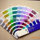 transparency color powder coating