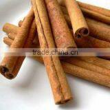 Cinnamon Bark Extract thumbnail-1