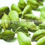 Cardamom Oil thumbnail-1