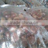 Dandong Fresh Chestnut 40-60 Fresh Chinese Chestnut for Sale thumbnail-5