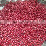 Red Kideny Bean thumbnail-3