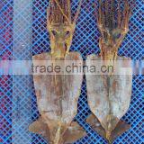 High Qulity Dry Squid for Sale thumbnail-1
