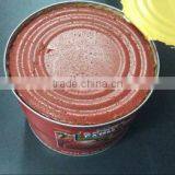Hot ! Wholesale 4500g Canned Tomato Paste thumbnail-2
