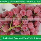 Fresh Sweet Red Grape for Export thumbnail-4