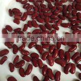 Good Quality Canned Red Kidney Beans thumbnail-3