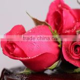 best quality fresh red rose flowers with fast transportation