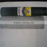 Stainless Steel Double Twist Hexagonal Wire Mesh