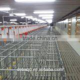 2017 Poultry Pig Farm Design Pig Farming