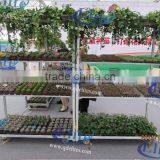 272 Seeding Bed With Wheels thumbnail-2