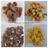 Large Size Double Screw Extruder/2D&3D Pellet Machine/Breakfast Cereals Machine/TVP Soy Protein Machine thumbnail-3
