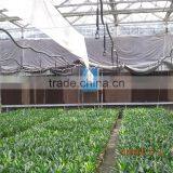 China Factory Plastic Polyethylene Film Arch Green House thumbnail-4