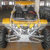 RENLI 800cc 4x4 Gas Powered off Road go Kart for Sale thumbnail-1