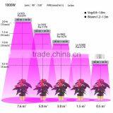 Shenzhen High Power 300 Watt Hydroponic Grow Light thumbnail-6