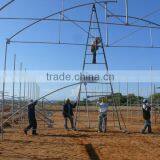 Galvanized Pipes Steel Structure 8m/9m/10m Greenhouse For Tomato thumbnail-4