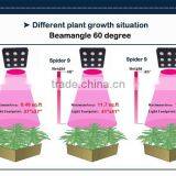 Igrow New Product Distributor Wanted Lettuce Autopot African Violet Menards Led Grow Light thumbnail-5