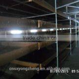 High Protein Dried Mealworms Wild Bird Food(freeze Dry) thumbnail-4