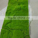 SJ141102 Artifiical Moss Carpet Mat for Garden Decoration thumbnail-1