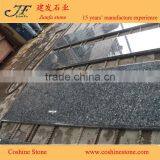 Prefab Homes Natural Stone Blue Pearl Granite Countertops Kitchen thumbnail-5