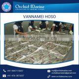 High Grade Fresh and Healthy Vannamei HLSO Shrimp at Reliable Market Price thumbnail-6