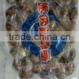 Short Necked Clam thumbnail-2