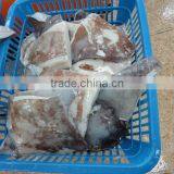 Frozen Giant Squid Wing thumbnail-2