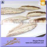 Precooked Frozen Pacific Mackerel Fish Fillet IQF With Dark Meat thumbnail-3