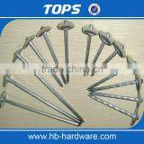 China Umbrella Head Roofing Nails thumbnail-1