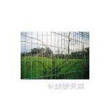 Welded Wire Mesh for Fencing thumbnail-1