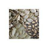 Water Melon Seeds thumbnail-1