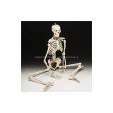 Skeleton thumbnail-1