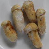 Edible Mushroom Fungus Frozen Frozen Matsutake