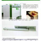 Concealed Slides thumbnail-1