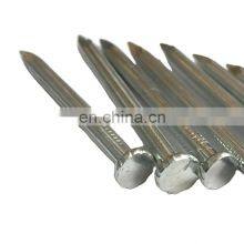 Polish Hot Dipped Galvanized Flat Head Common Nails Iron Large Electro Galvanized Iron Spike Wire Steel Nails thumbnail-5