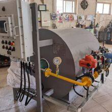 Biogas burner