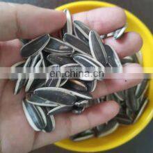 Wholesale Cha Cha Roasted Sunflower Seeds Snacks Peeled Best Quality Inner Mongolian Sunflower Kernel Crop 2020 From CN thumbnail-3