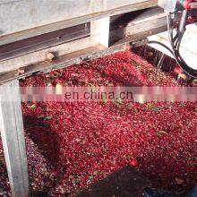 CHINA GENYOND Salad Production Line Vegetable Processing Line Fruit and Vegetable Cutting Washing Machine thumbnail-5