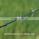 hot selling Barbed Wire 12*12 manufacturer(factory)