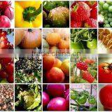 Vertical Form Fill and Seal(vffs) Bagging Machine thumbnail-4