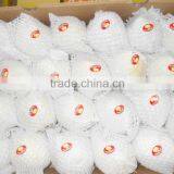 2015 New Crop Chinese Fresh Ya Pear for Export thumbnail-2
