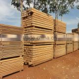 Brazilian Teak Sawn Timber / Square Log