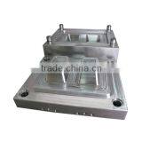 Professional Plastic Injection Thin Wall Mold thumbnail-4