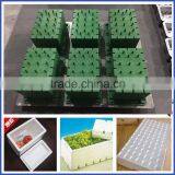 High Quality 6061 EPS Vegetable Box Mould/Mold thumbnail-1