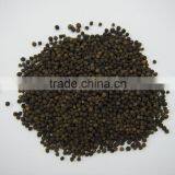 Vietnamese Black pepper